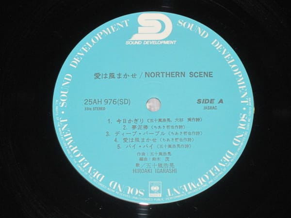 Hiroaki Igarashi - Northern Scene - Image 4